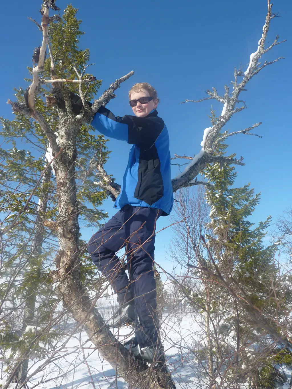 Gutt klatrer i tre med snø