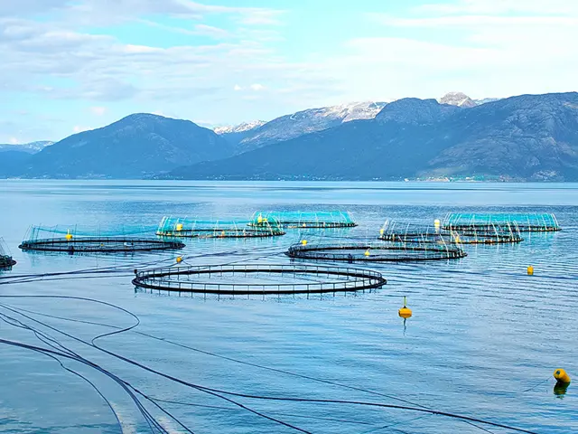 Fiskeoppdrettsanlegg i havet foran store fjell