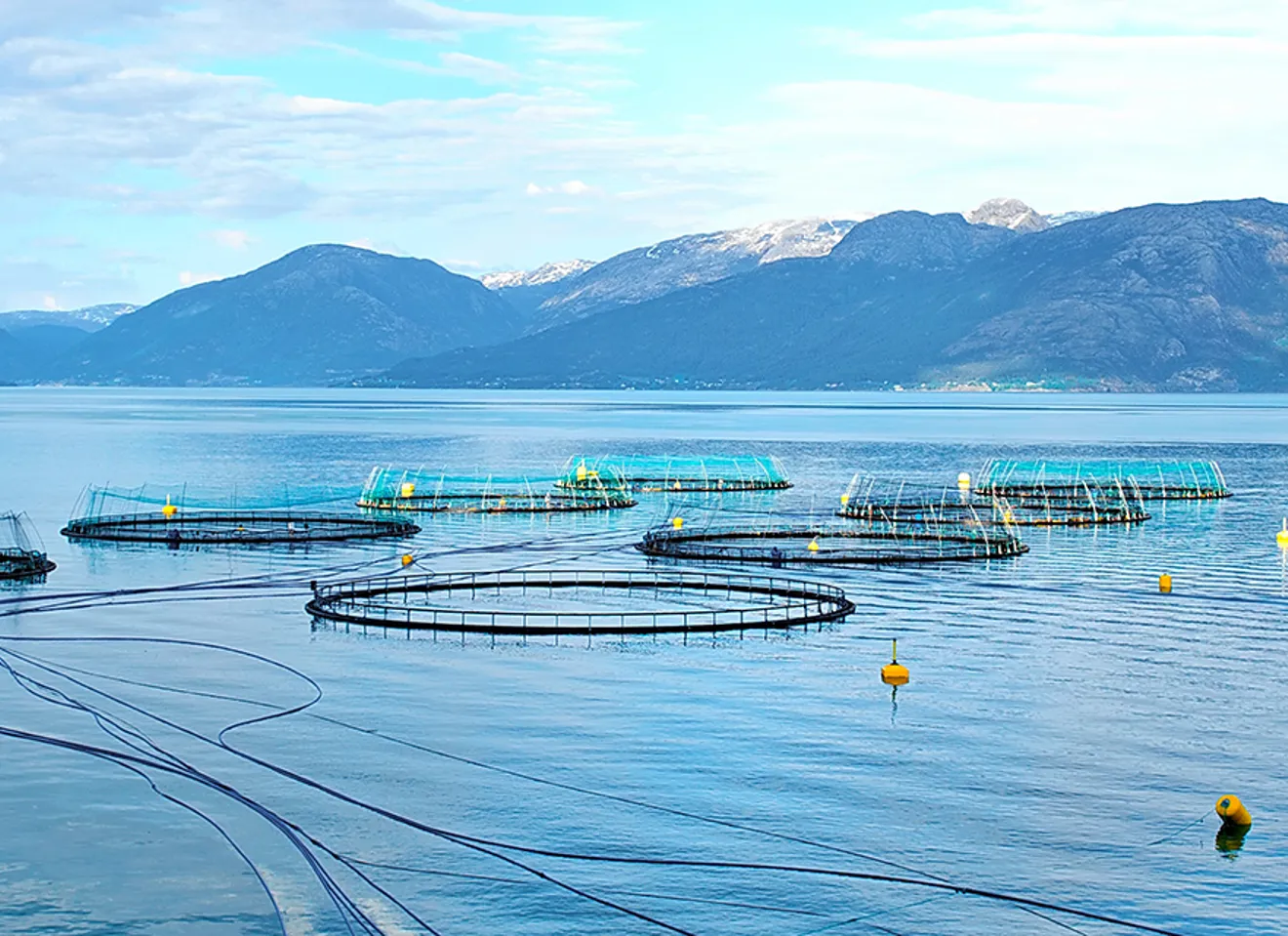 Fiskeoppdrettsanlegg i havet foran store fjell