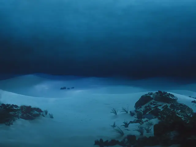 Sand, stein og havbunn under vann