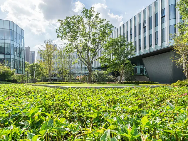 grønn urban situasjon