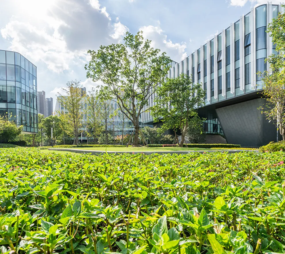 grønn urban situasjon