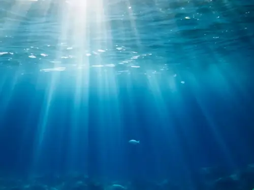 sollys under vann