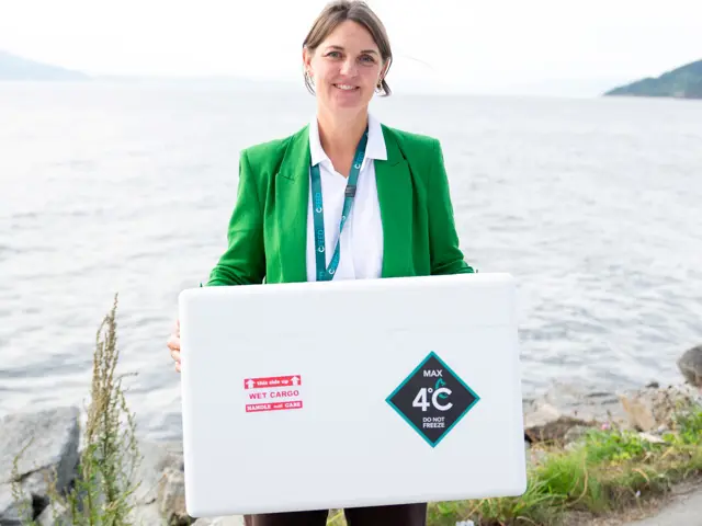 Kvinne med eske ved havet