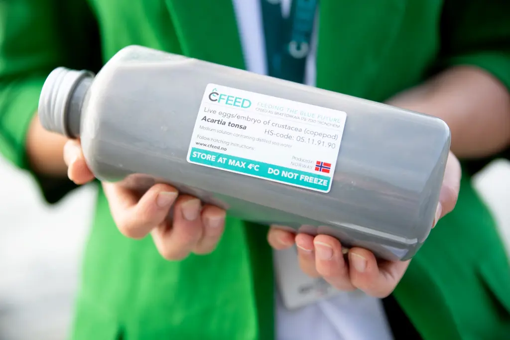 Hender holder grå flaske 