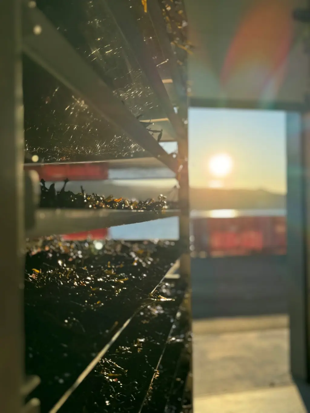 Fra produksjonslokale med tang