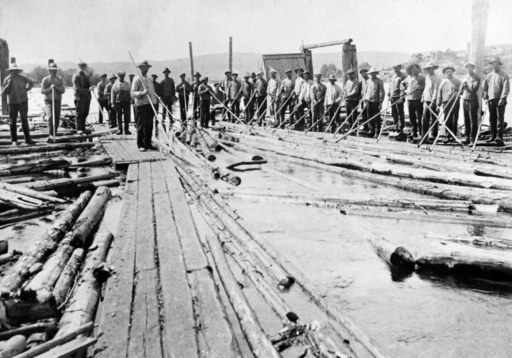 Svart hvit foto av mange menn i 1800-talls arbeidsklær, foran dem ligger masse tømmer flat ut op vannat.