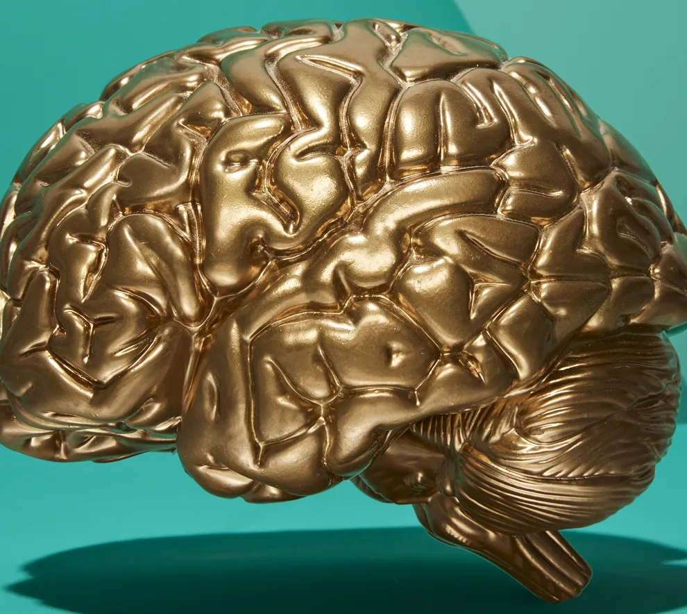 Illustrasjon av et hjerne i gull på grøn bakgrunn