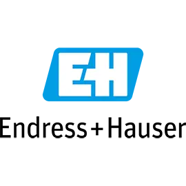 Logo: Endress & Hauser 