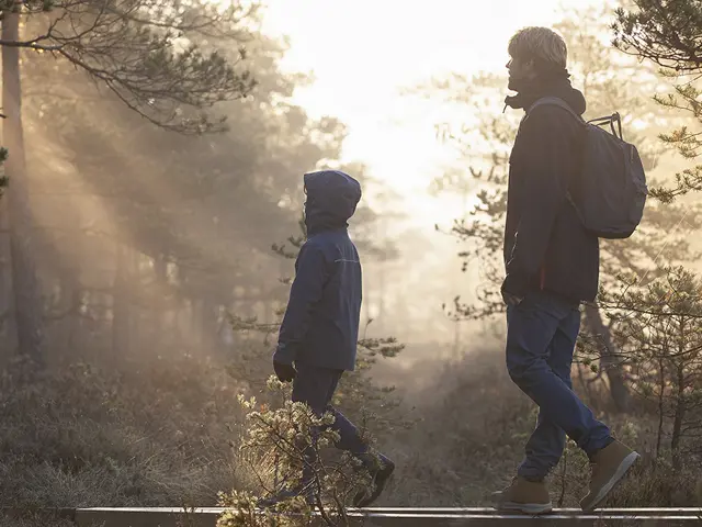 Illustrasjonsbilde av to mennesker som går tur i skogen i solnedgang