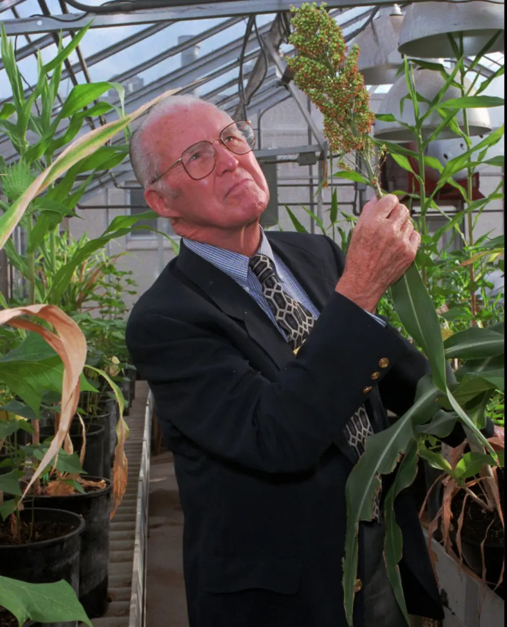Norman Borlaug i dress ser på planter i veksthus