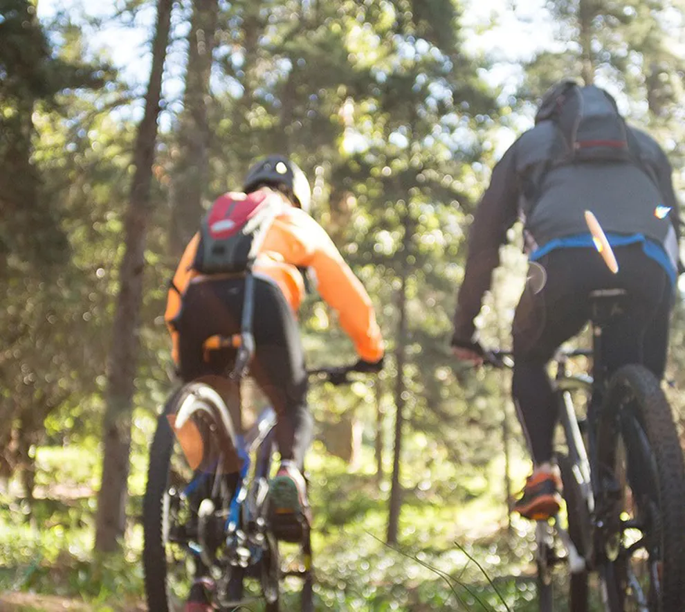 To syklister sykler med ryggen til på skogsstier en sommerdag mens sola skinner gjennom tretoppene.