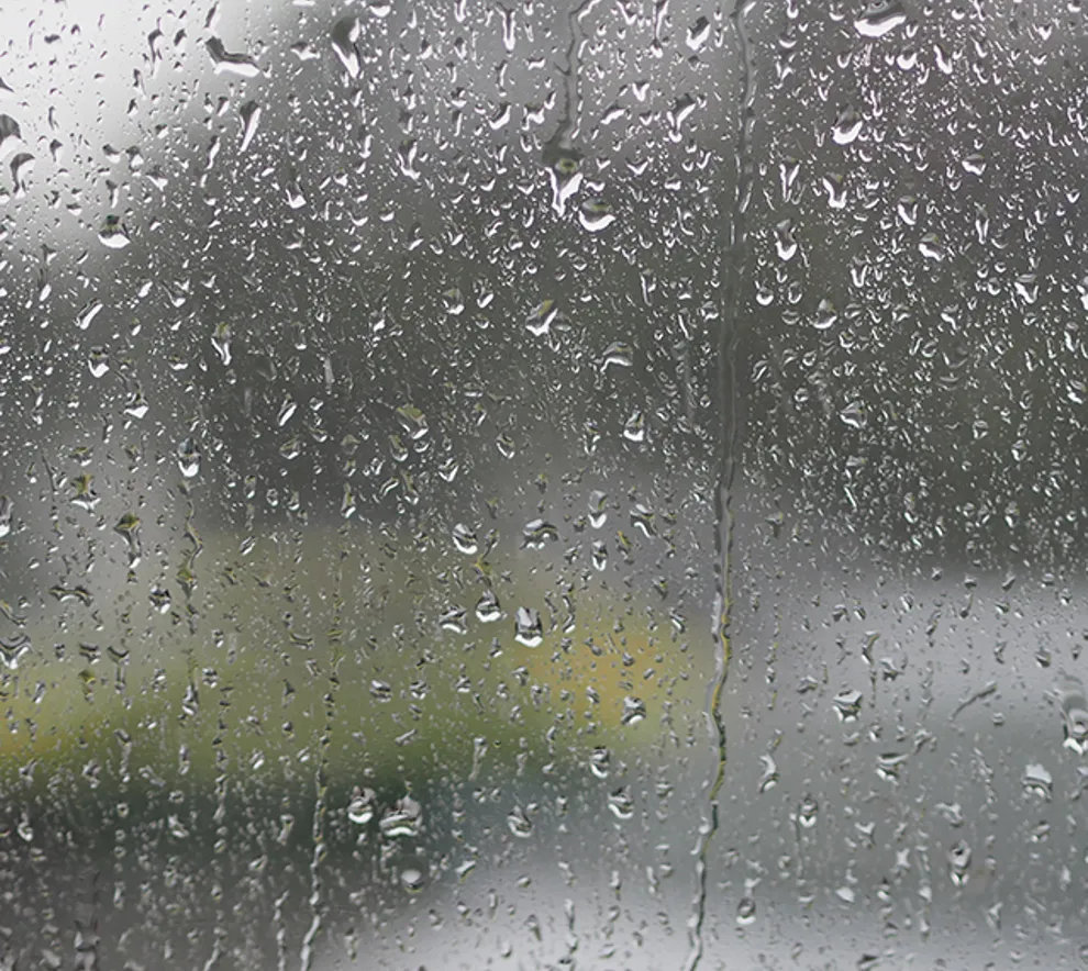 Regndråper på vindu