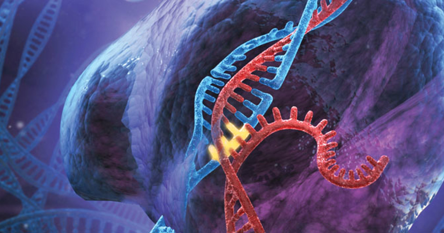 Genmodifisering Med CRISPR metoden