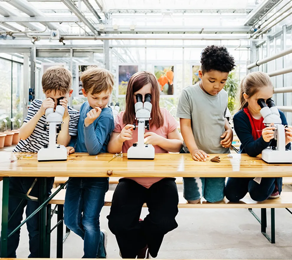 Fem barn som ser i mikroskop