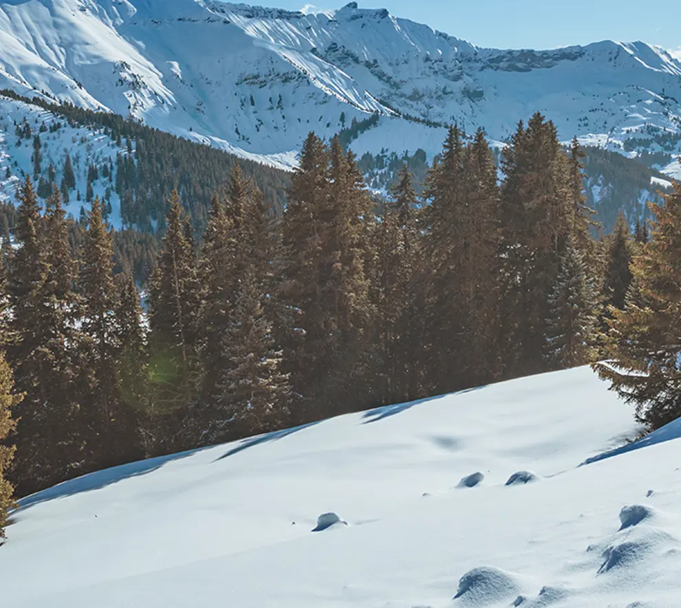 fjell med snø og snøskred skilt
