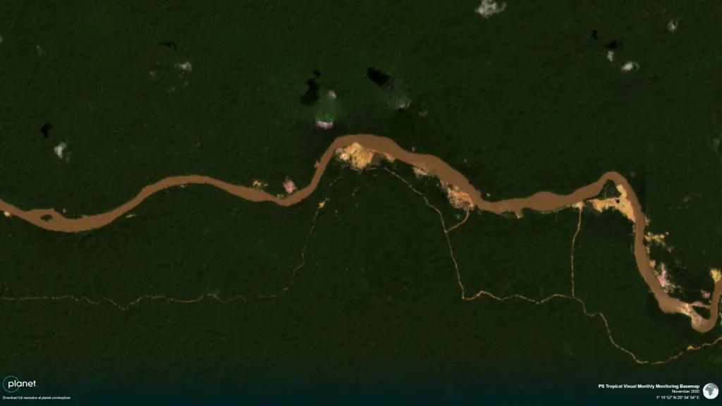 Satellitbilde av skog i Kongo nov 2020