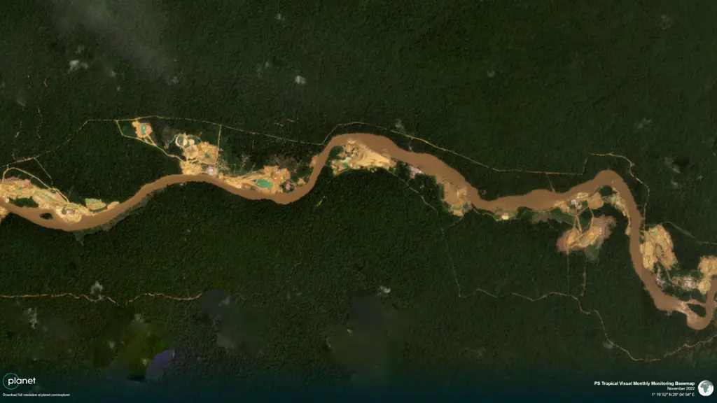 Satellittbilde skog Kongo  nov 2022