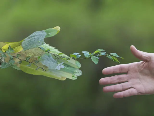 Bærekraft &#8211; shaking hands with nature