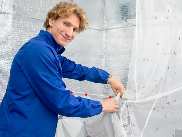 Mann i blå kjeledress med insekter