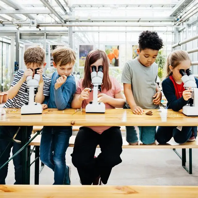Barn som ser i mikroskop