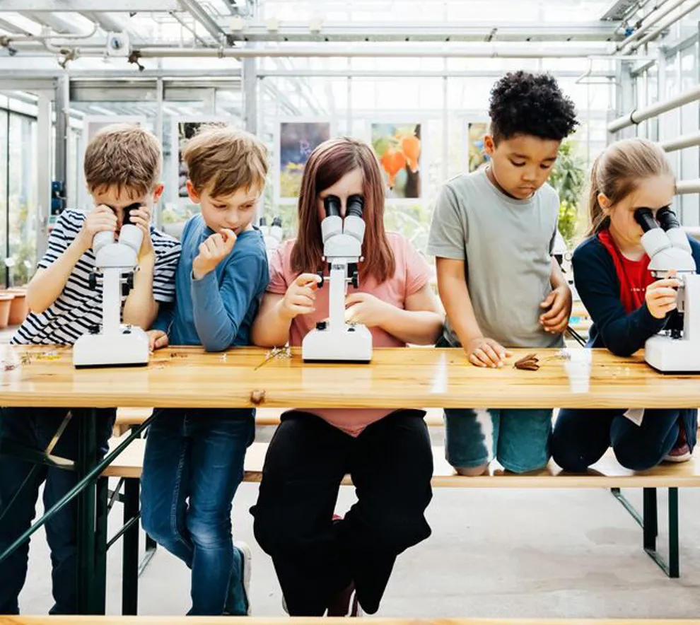 Barn som ser i mikroskop