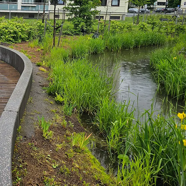 Bilde av elv i skårerparken