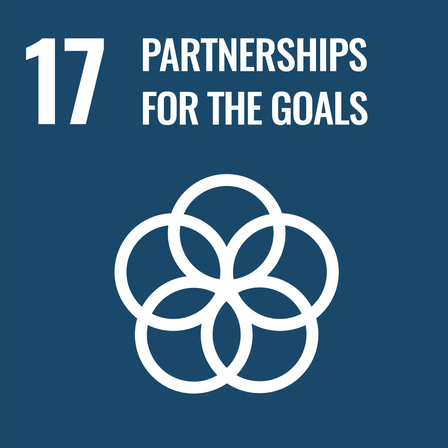 Logo for UN's sustainable development goal number 17