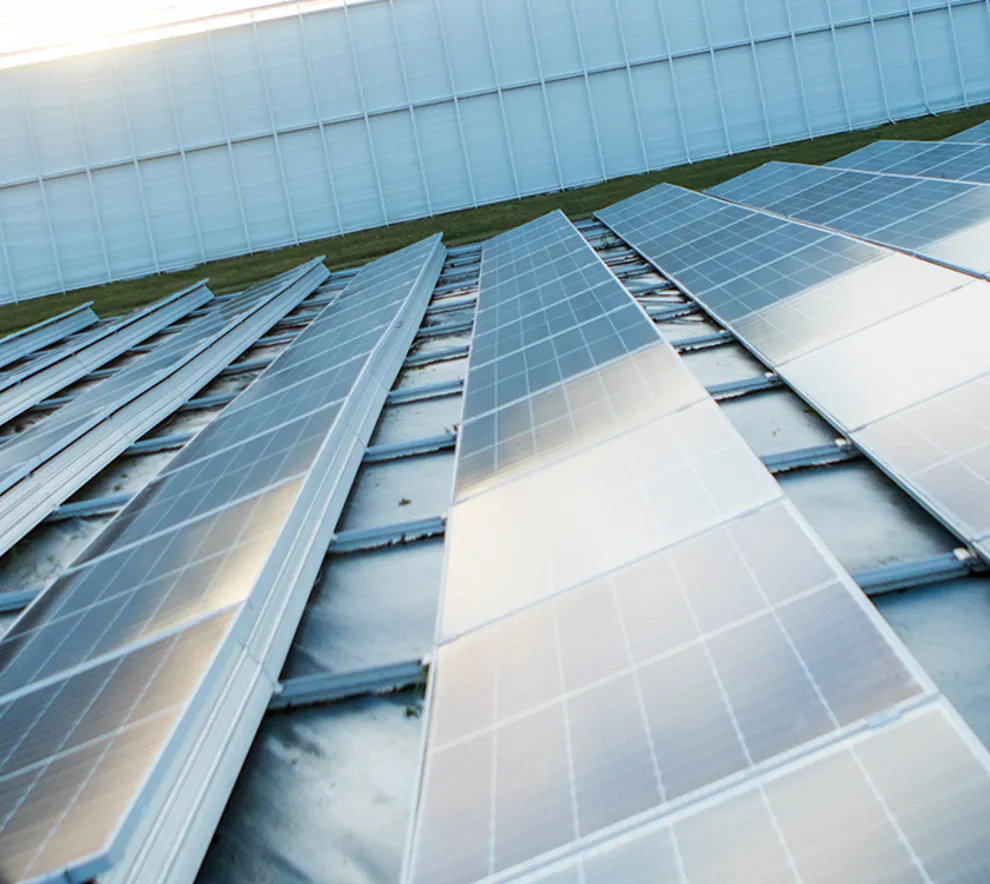 To ledere inspiserer taket på næringsbygg, dekket av solcellepaneler