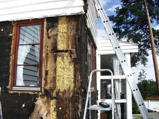 Bilde av råteskader