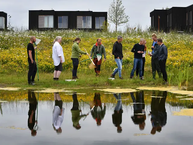 En gruppe mennesker renser regnvannsjøen