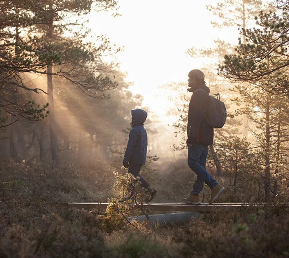 Far og barn som går i skogen
