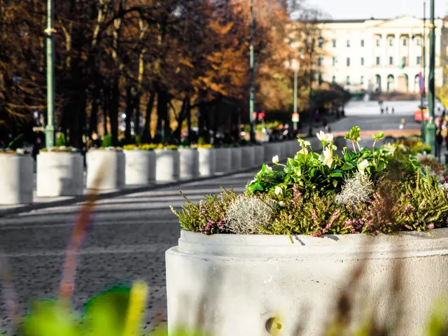 Biologisk mangfold oslo