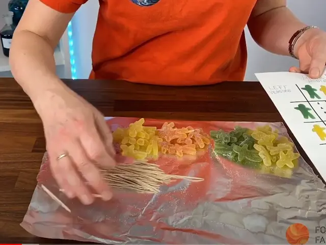 Nærbilde av hender som sorterer seigmenn på et bord