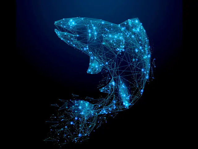 en romlig strekmodell av fisk