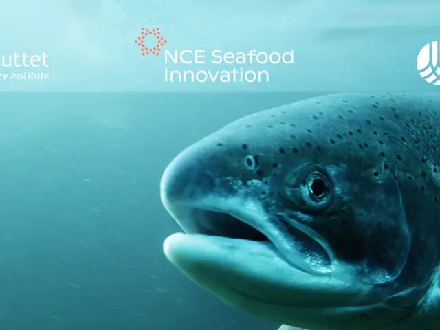 Svømmende fisk med Tekna, NCE Seafood Innovation logo