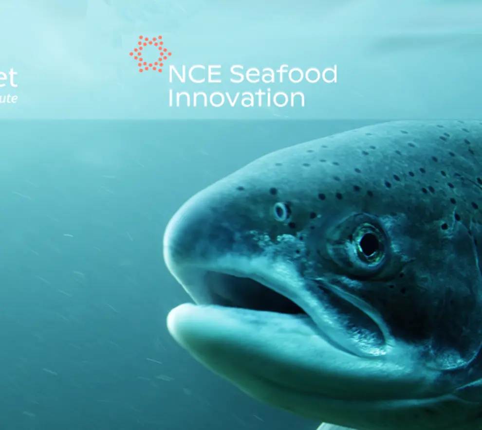 Svømmende fisk med Tekna, NCE Seafood Innovation logo