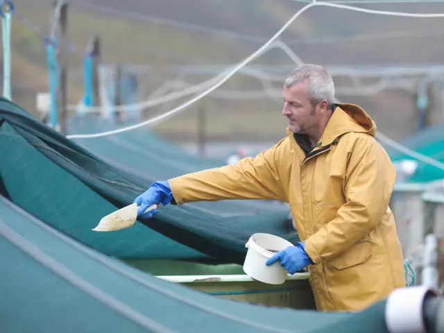 mann forer fisk i oppdrettsanlegg