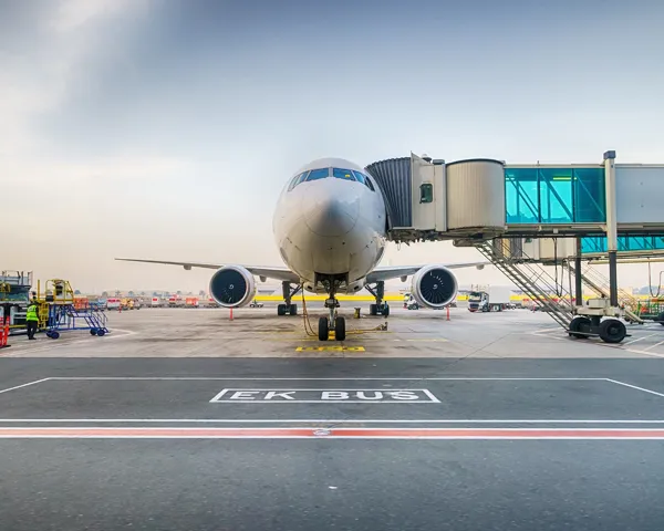 Et fly stående på et terminal