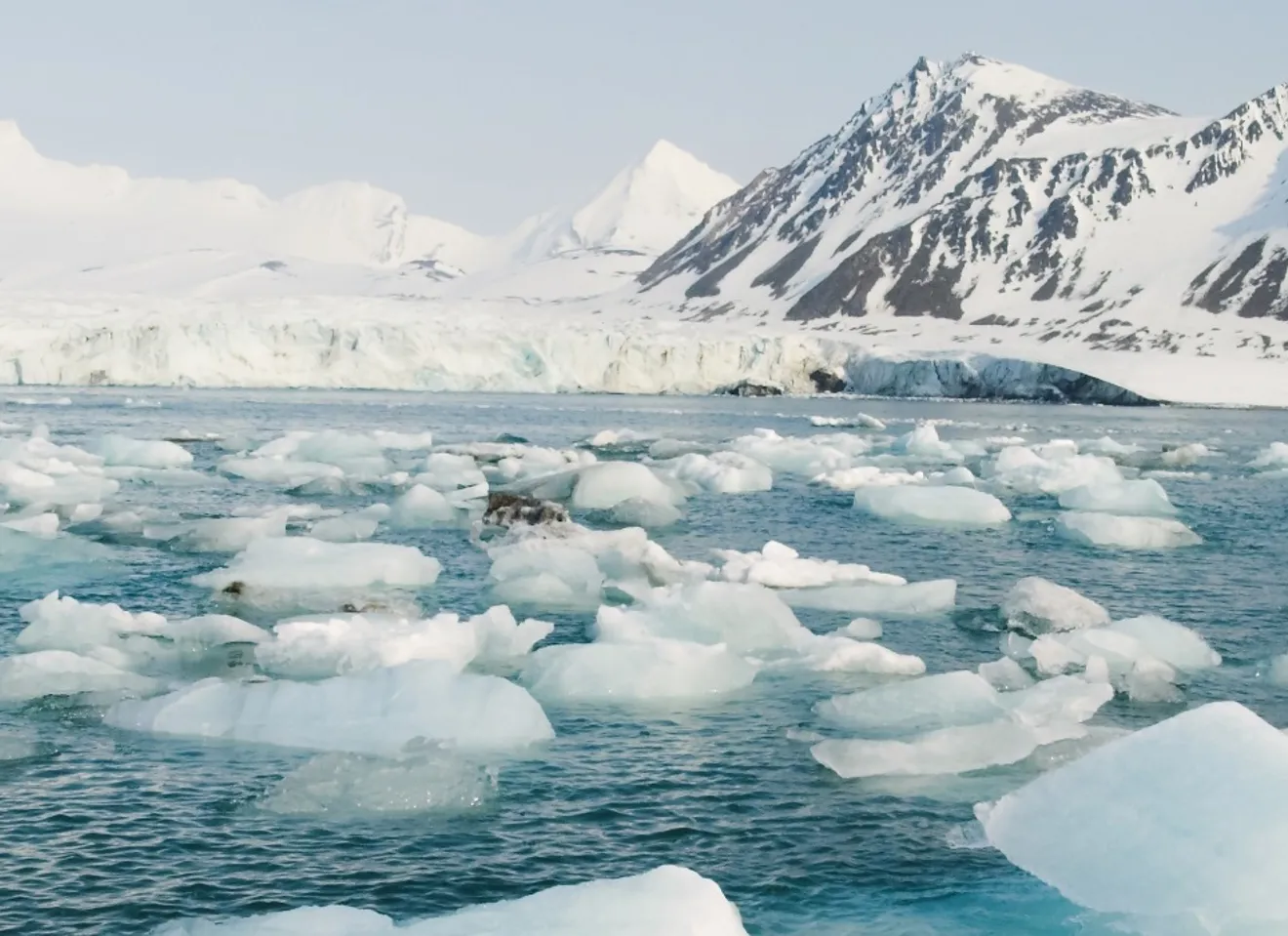 Ishavet med store deler is flytende på vannet og snøfjell i bakgrunn