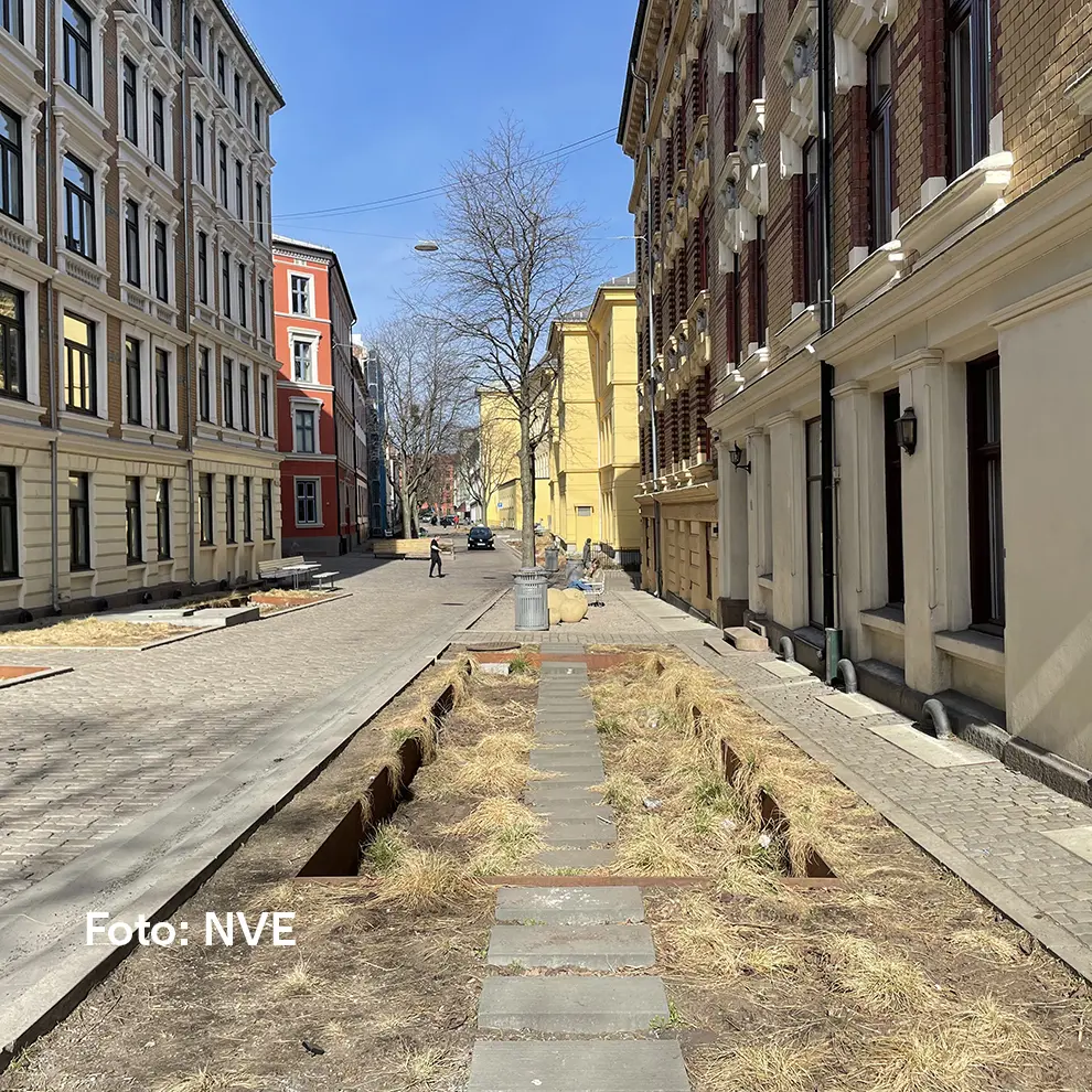 Regnbed i Deichmans gate i Oslo, etablert for lokal håndtering av overvann.