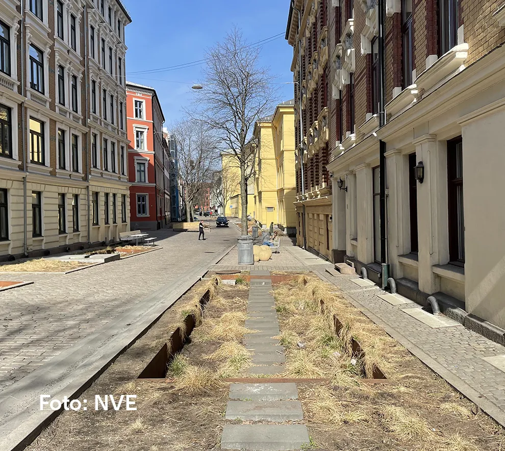 Regnbed i Deichmans gate i Oslo, etablert for lokal håndtering av overvann.
