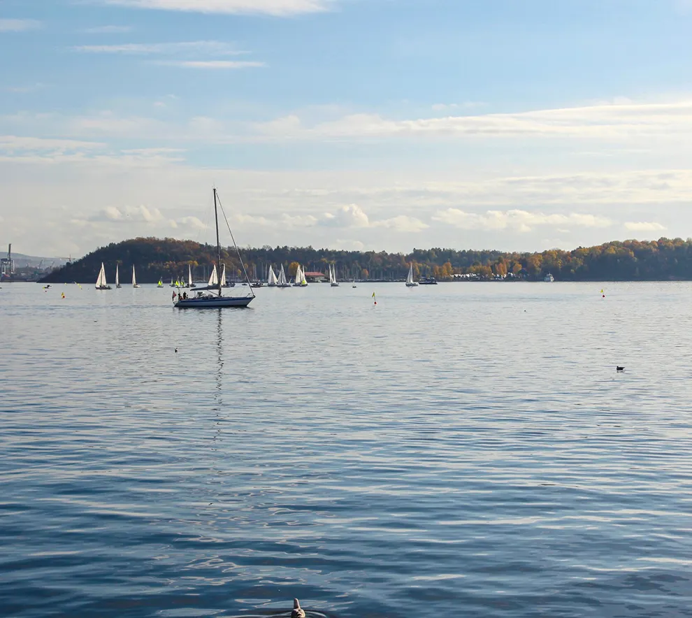 Flere seilbåter på vannet i Oslofjorden en solfylt dag. I bakgrunnen ses Oslo havn og skogkledde øyer under en blå himmel med lette skyer. Bildet viser maritim aktivitet og kystlandskap i Oslo.