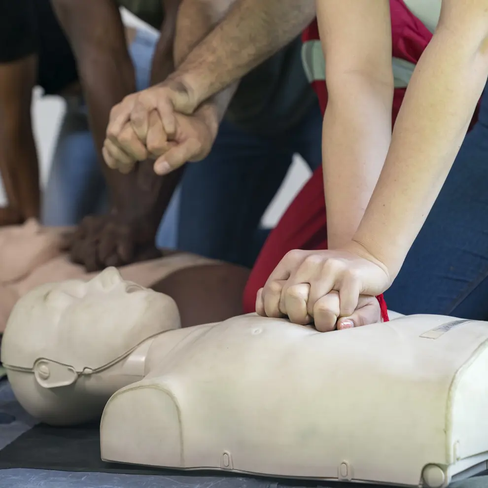 Deltakere øver på HLR med brystkompresjoner på førstehjelpsdukker.