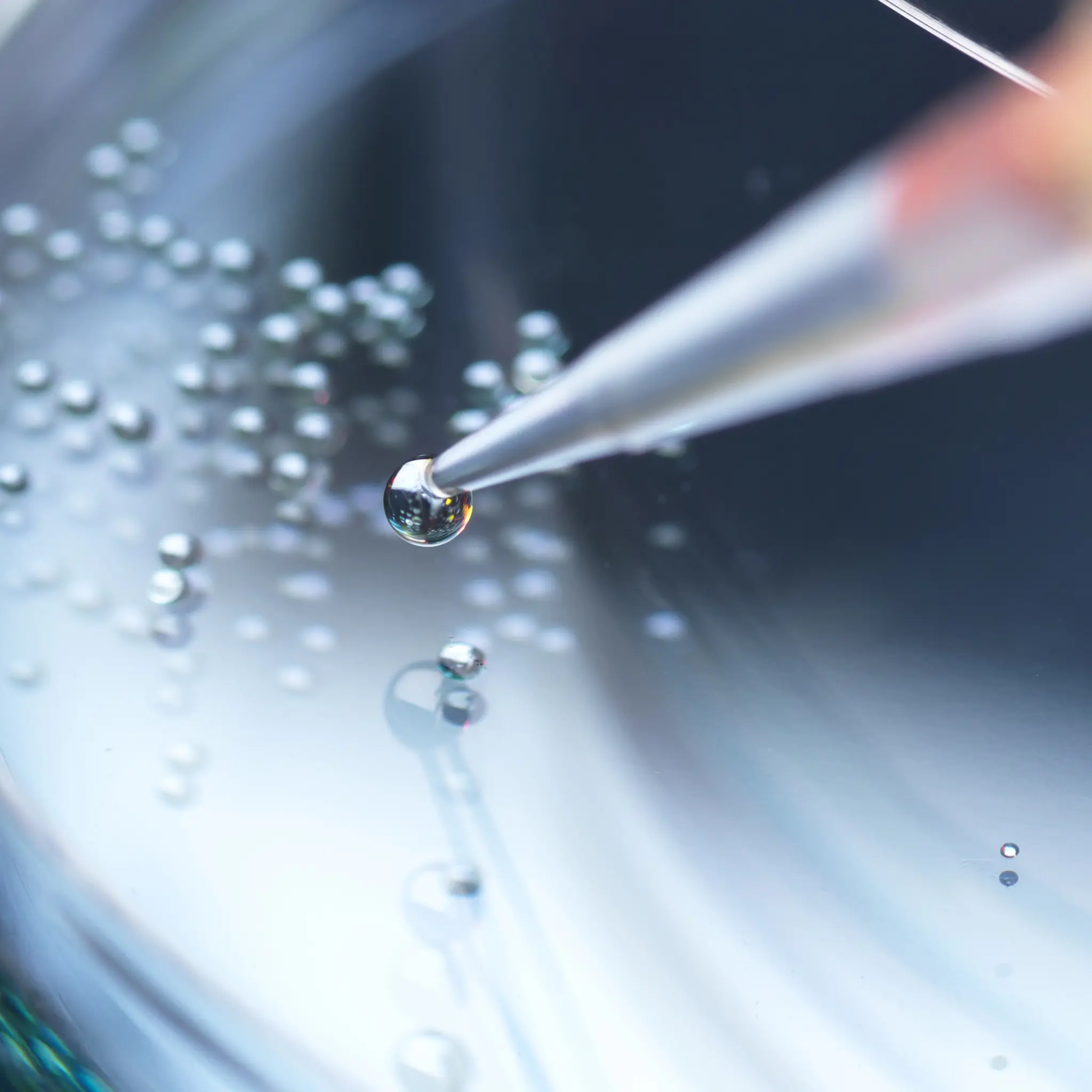 en nål ned i en petriskål