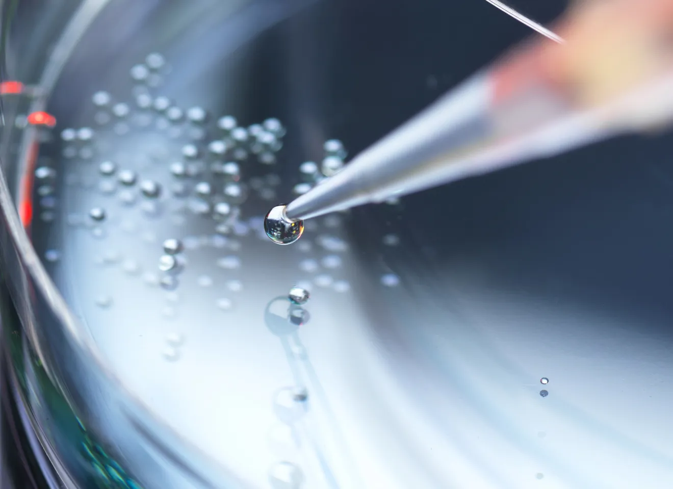 en nål ned i en petriskål