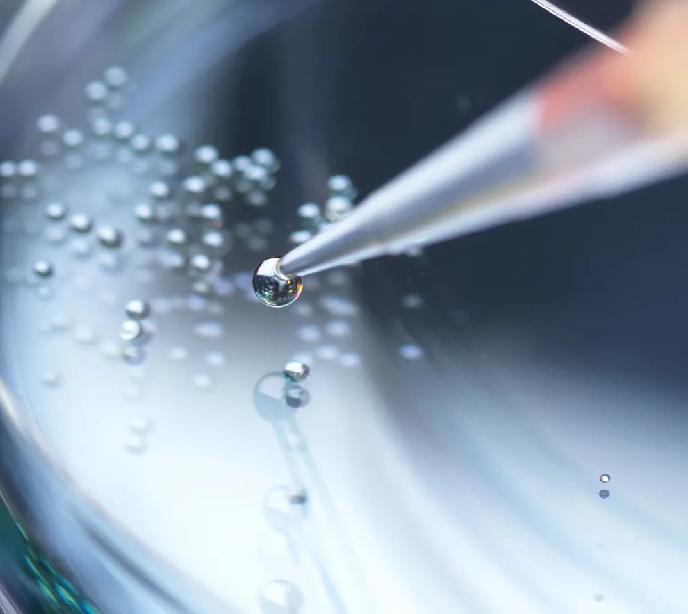 en nål ned i en petriskål