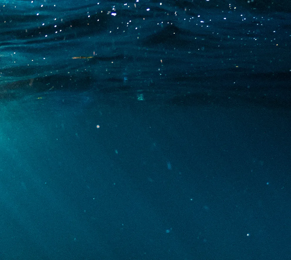 Havet sett under vann