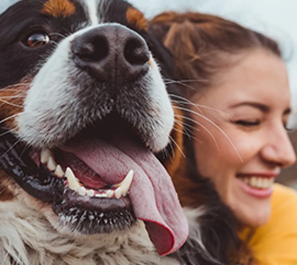 Kvinner som koser med hund