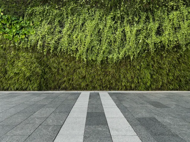 Illustrasjonsbilde av betong- og steingulv foran en stor grønn busk som danner en vegg